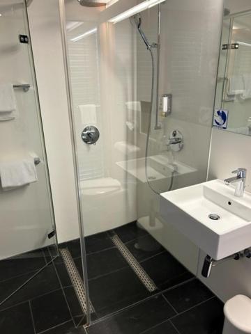 Hotel Hotel-gasthof Loewen 3*